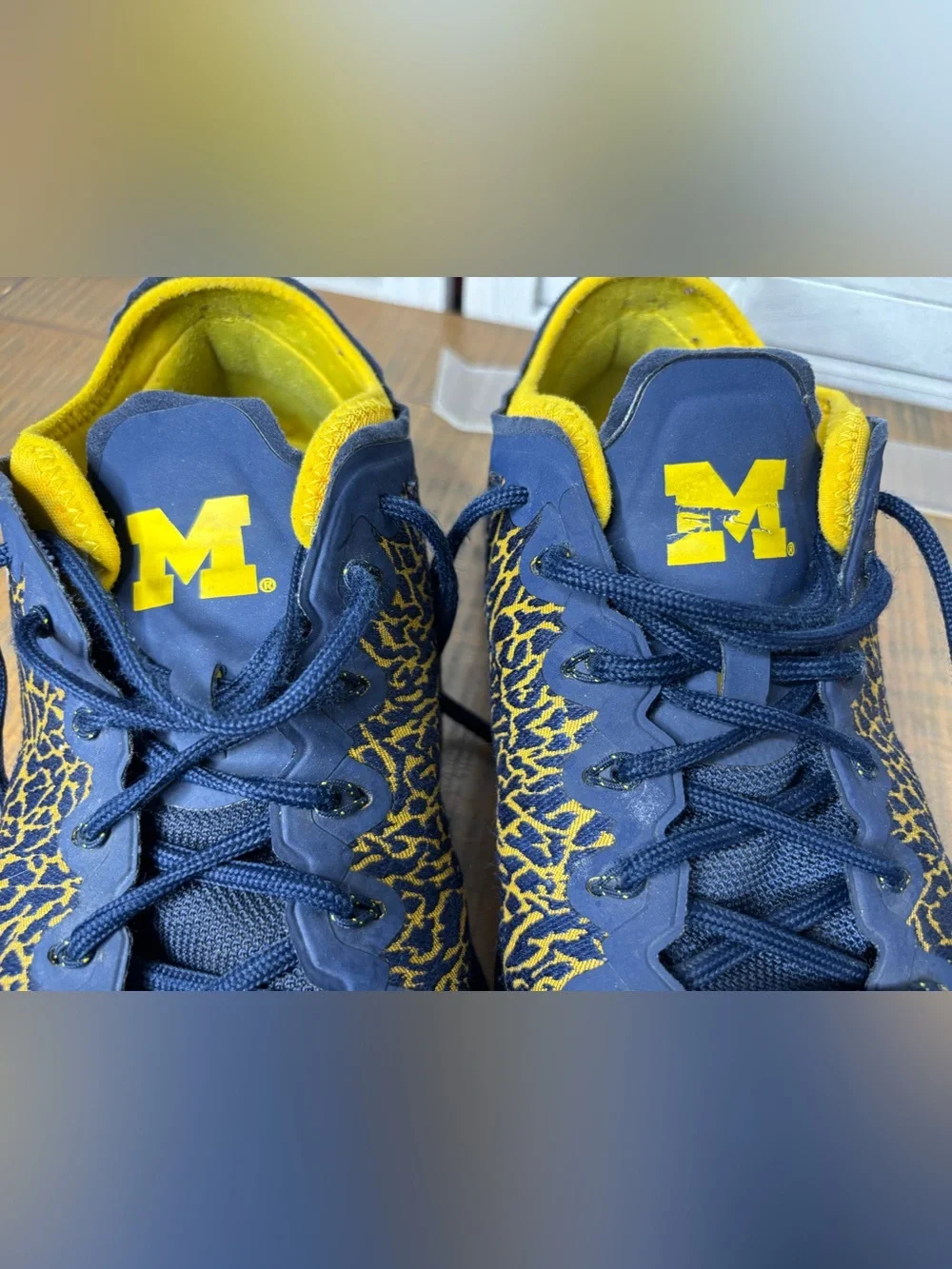 Jordan Trainer 1 Low Michigan Wolverines Mens Size 13 College Navy Yellow GUC